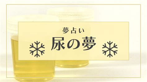 夢占い おしっこ|【夢占い】尿の夢の意味21選｜金運や運気の好転のサ 